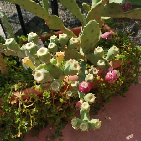 Soraya Сasa de vacaciones