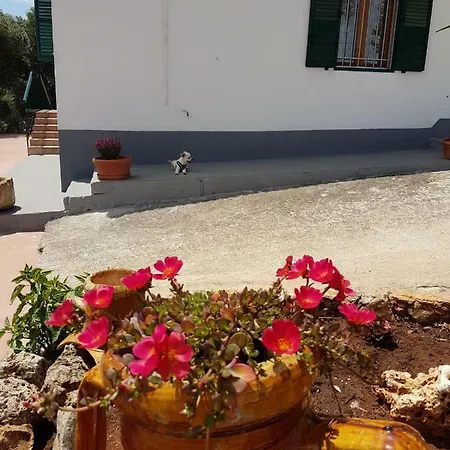 Сasa de vacaciones Soraya Ceglie Messapica