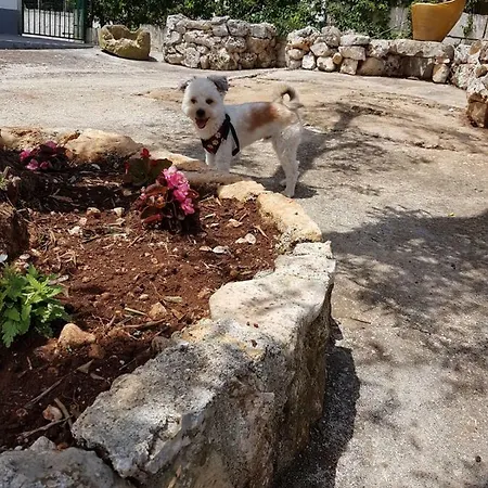 Сasa de vacaciones Soraya Ceglie Messapica